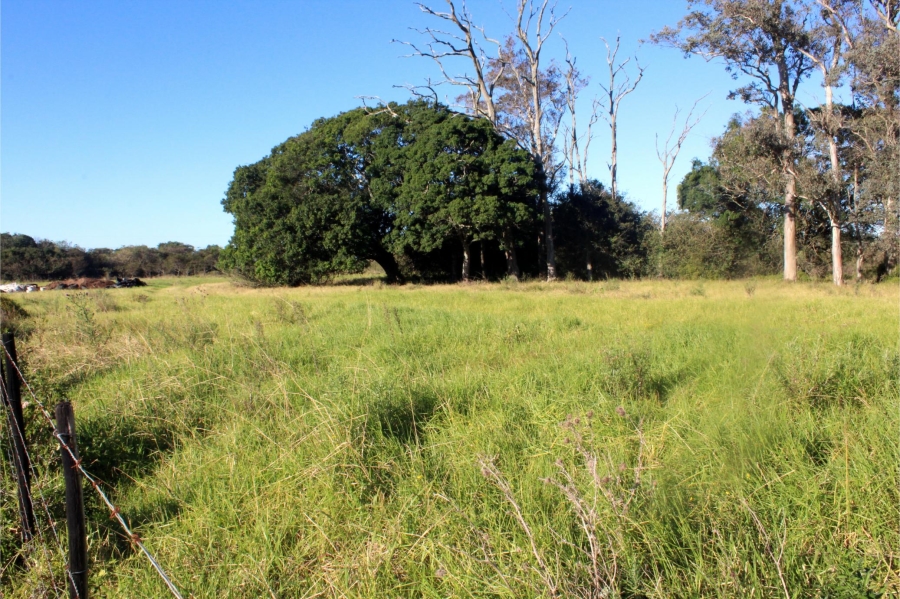 5 Bedroom Property for Sale in Mooiplaas Eastern Cape